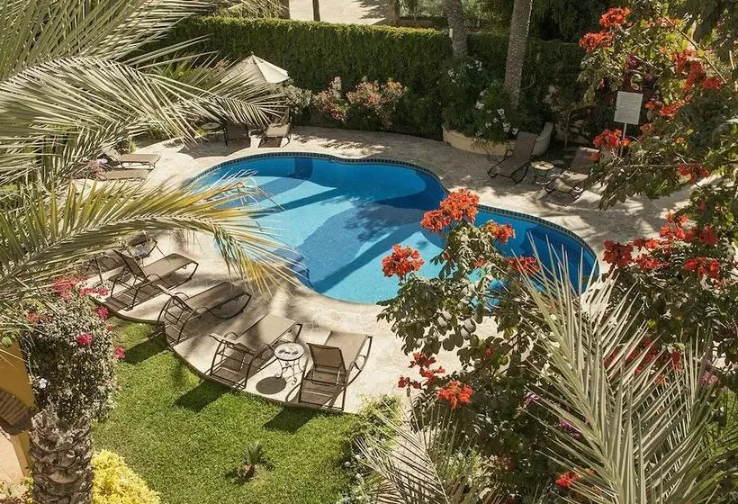 Fotos del hotel El Encanto Inn & Suites:  11