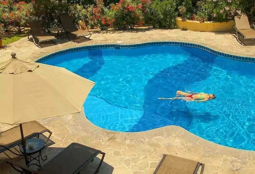 Fotos del hotel El Encanto Inn & Suites:  3