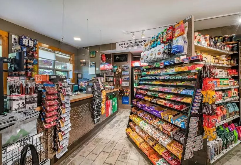 Fotos del hotel Embarc Whistler By Diamond Resorts:  18