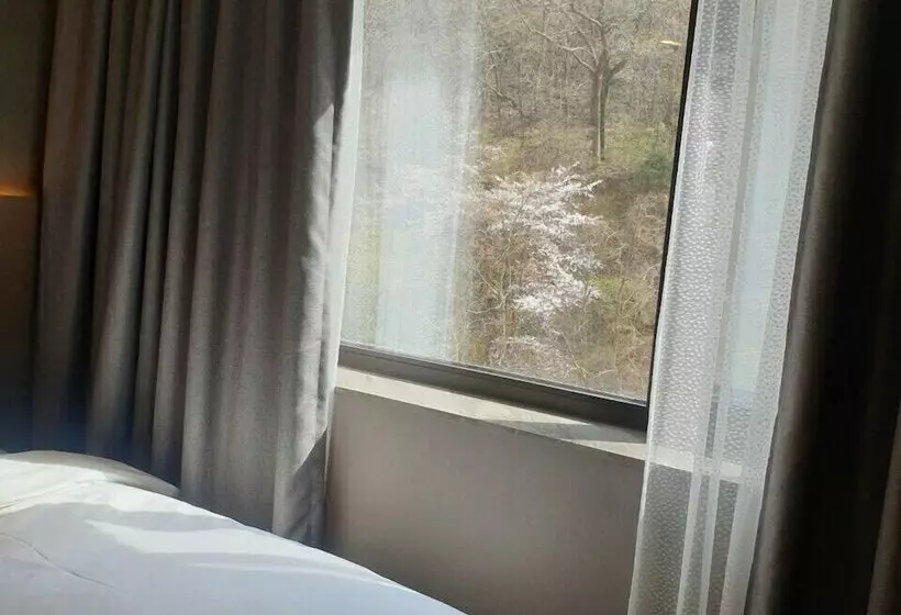 Fotos del hotel Mudeung Park:  19