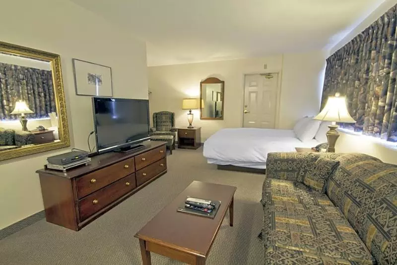 Fotos del hotel The Business Inn:  14