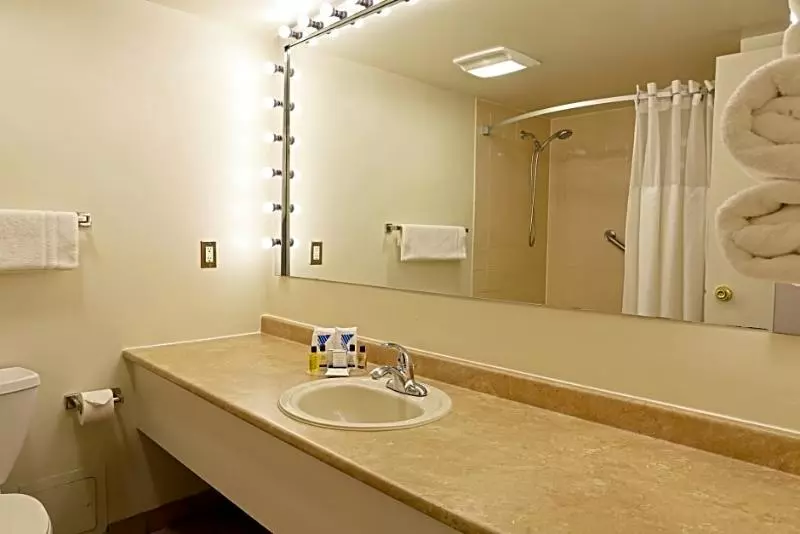 Fotos del hotel The Business Inn:  23