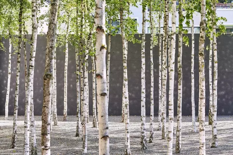 Fotos del hotel Greulich Design & Lifestyle:  7