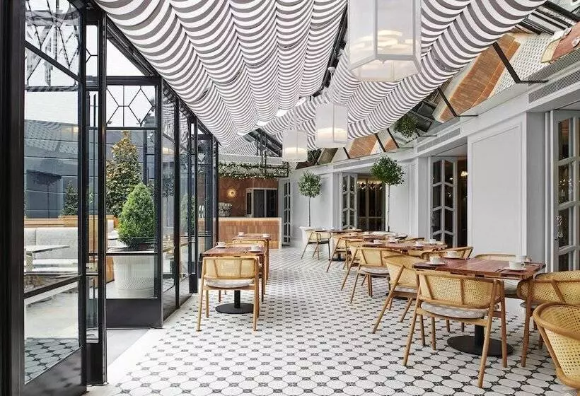 Fotos del hotel Royce:  9