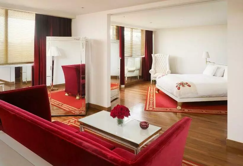 Fotos del hotel Faena Hotel Buenos Aires:  24