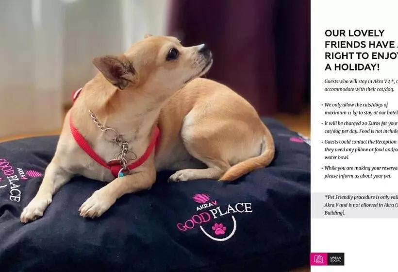 Fotos del hotel Akra V:  21