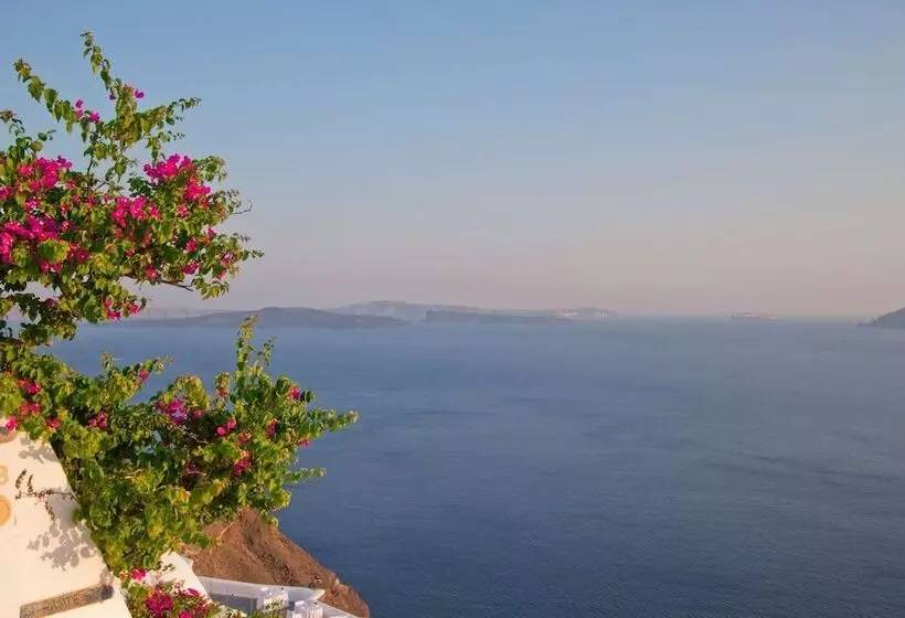 Fotos del hotel Olympic Villas:  17