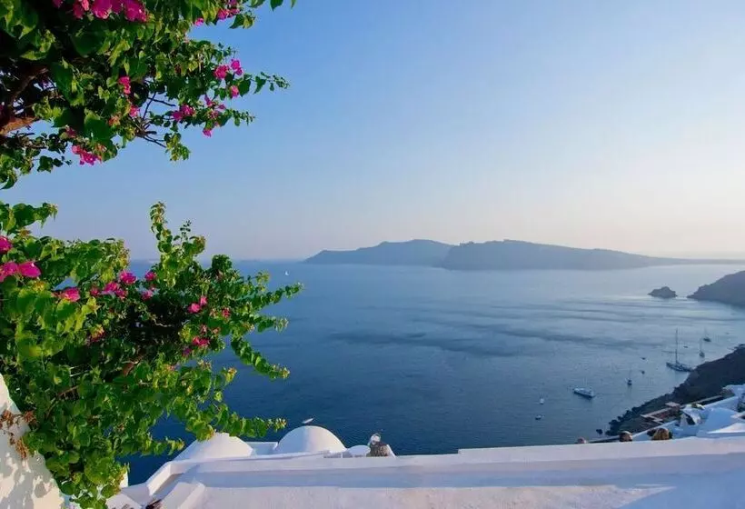 Fotos del hotel Olympic Villas:  15