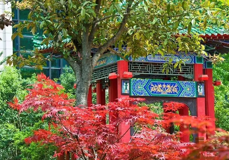 Fotos del hotel Sofitel Xi An On Renmin Square:  16