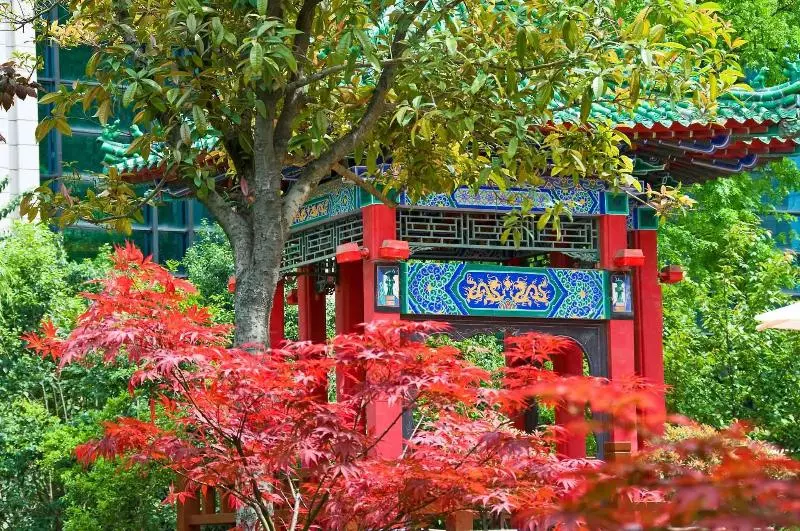 Fotos del hotel Sofitel Xi An On Renmin Square:  11