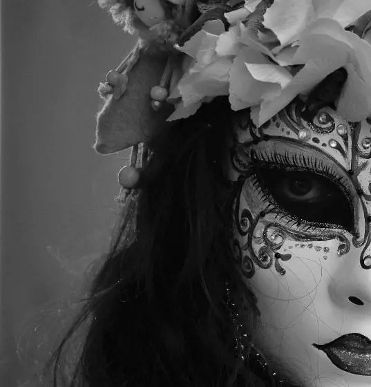 Fotos del hotel Locanda Antica Venezia:  14