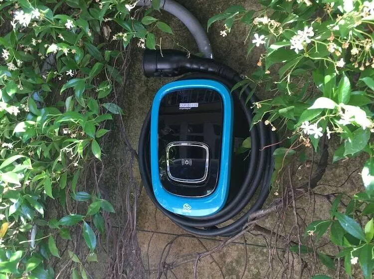 Fotos del hotel Ilaria:  11