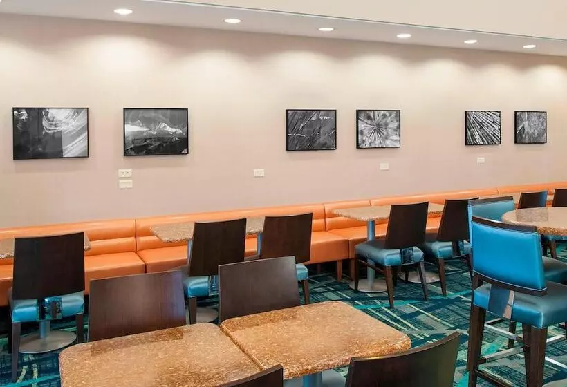 Fotos del hotel Springhill Suites By Marriott Chicago O'hare:  24