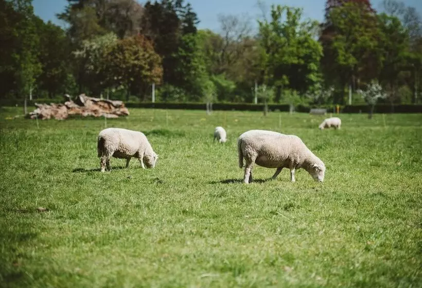 Fotos del hotel Buitenplaats Vaeshartelt:  13