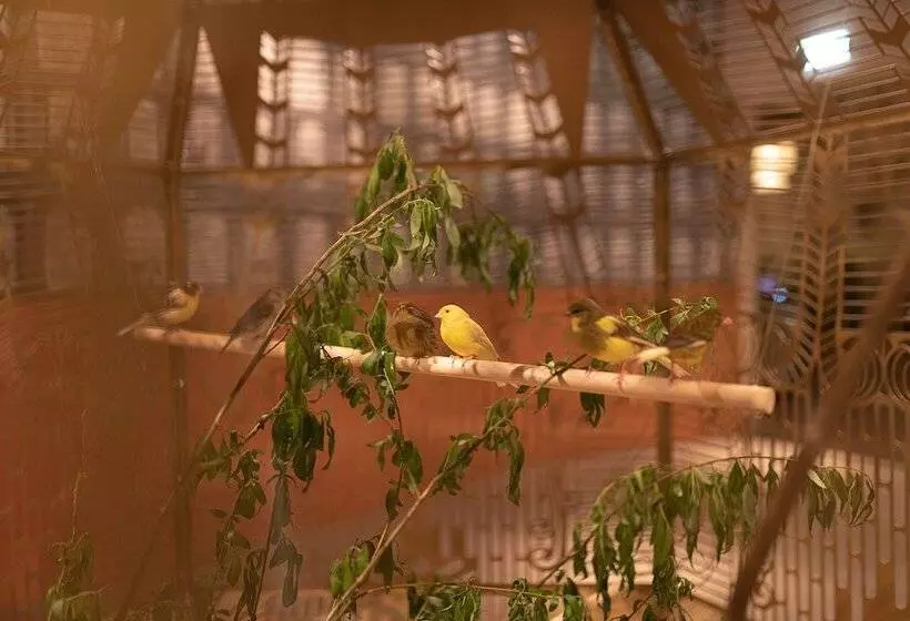 Fotos del hotel Buitenplaats Vaeshartelt:  7