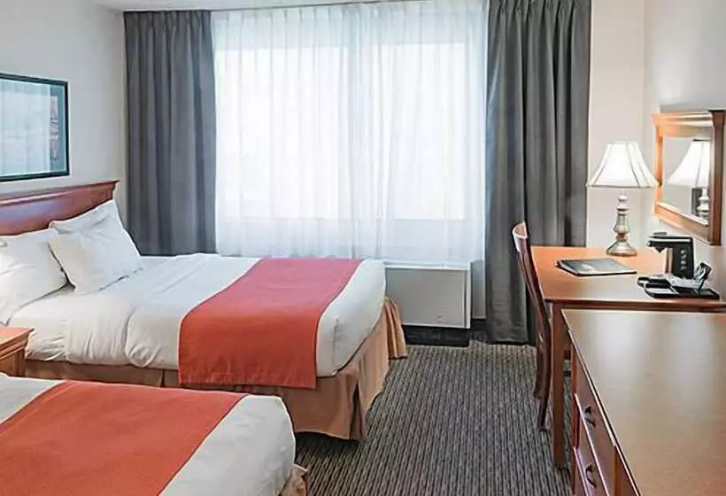 Fotos del hotel Chrome Montreal Centre-ville:  15