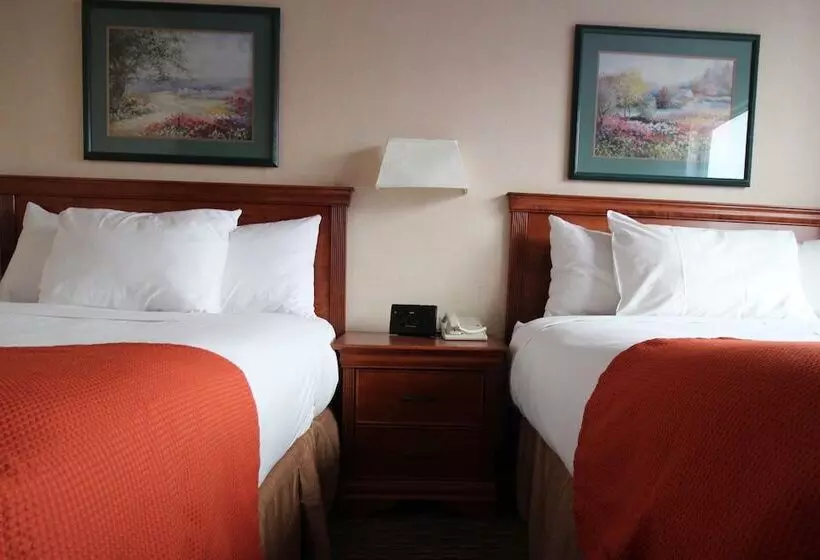 Fotos del hotel Chrome Montreal Centre-ville:  11