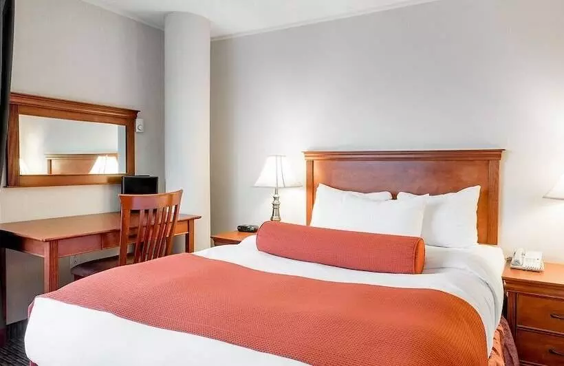 Fotos del hotel Chrome Montreal Centre-ville:  12