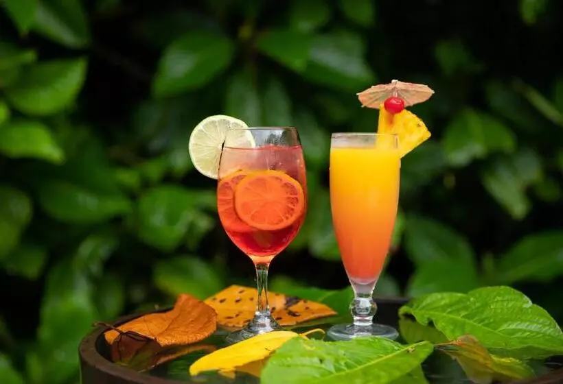 Fotos del hotel Evergreen Lodge:  25