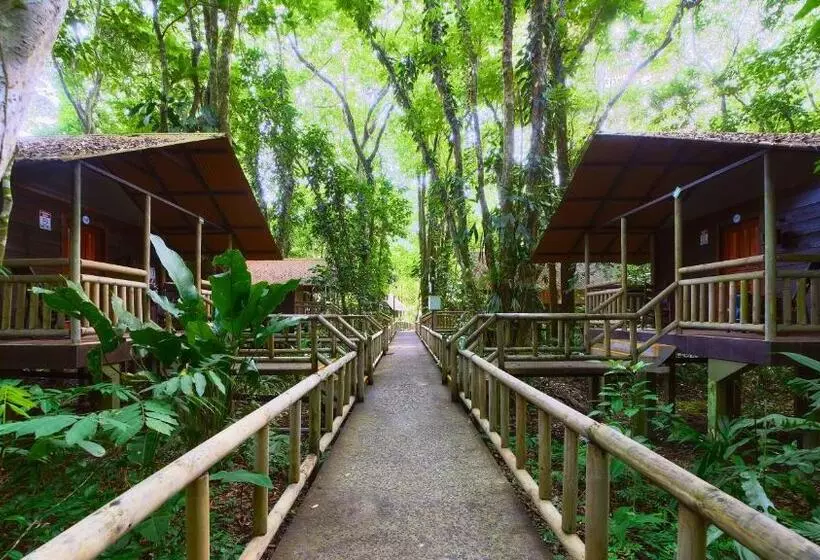 Fotos del hotel Evergreen Lodge:  5