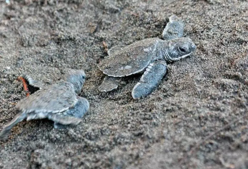 Fotos del hotel Evergreen Lodge:  18