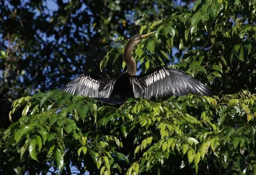 Fotos del hotel Evergreen Lodge:  24