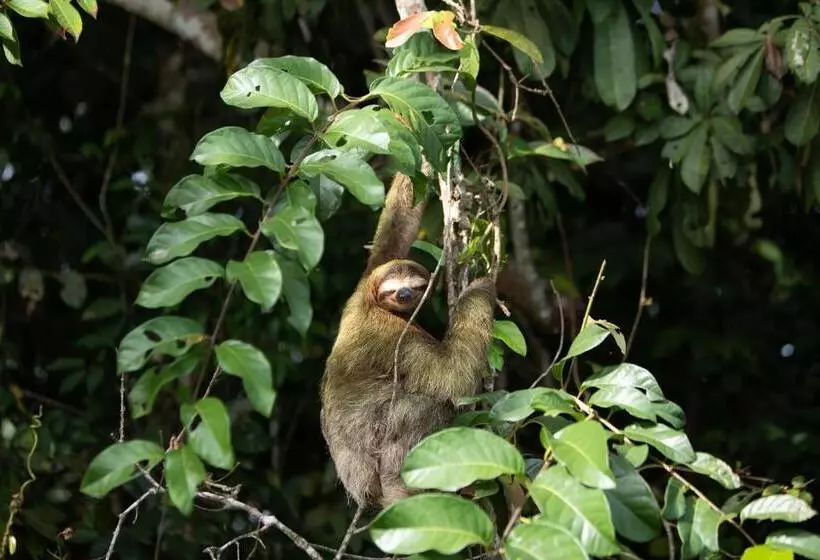 Fotos del hotel Evergreen Lodge:  14