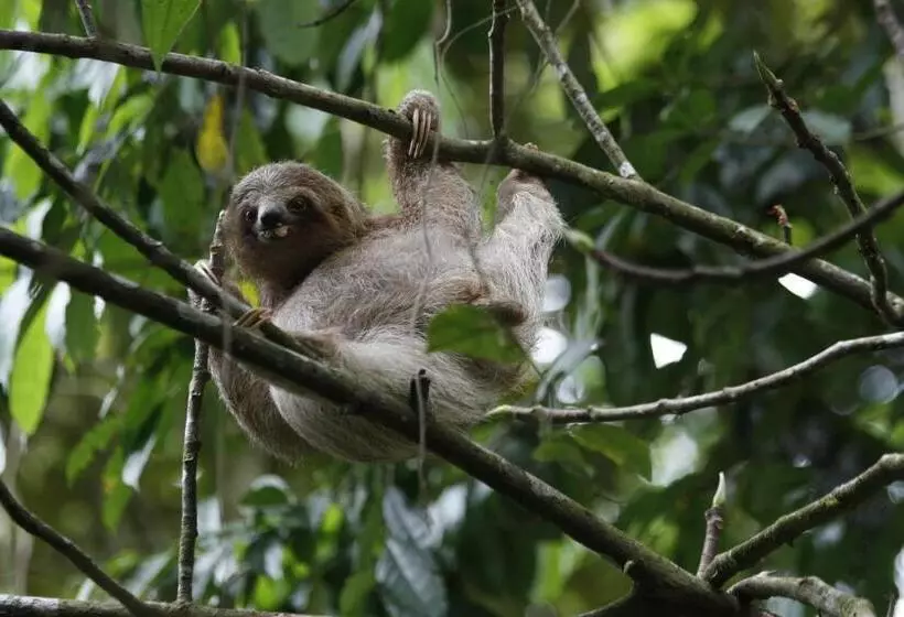 Fotos del hotel Evergreen Lodge:  8