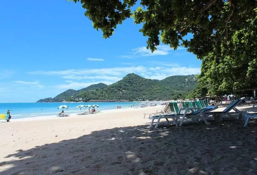 Fotos del hotel First Bungalow Beach Resort:  16