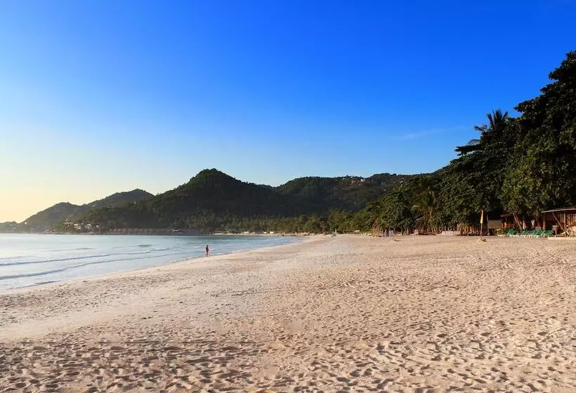 Fotos del hotel First Bungalow Beach Resort:  12