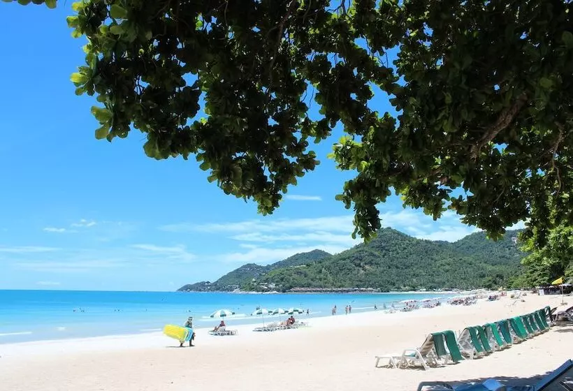 Fotos del hotel First Bungalow Beach Resort:  4