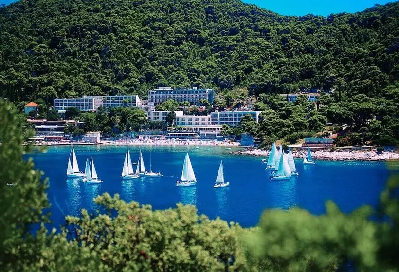 Fotos del hotel Uvala:  17