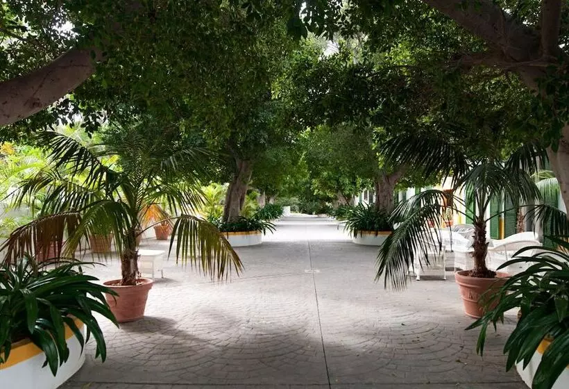 Fotos del hotel Cortijo San Ignacio:  9