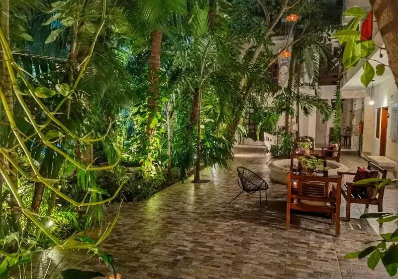 Fotos del hotel Hulku:  3