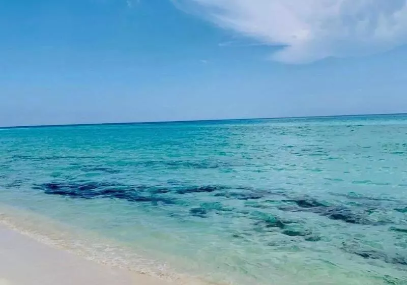 Fotos del hotel Hulku:  8