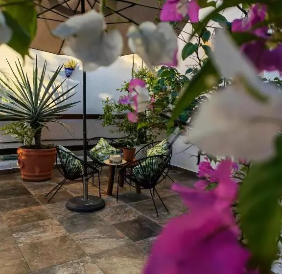 Fotos del hotel Hulku:  6