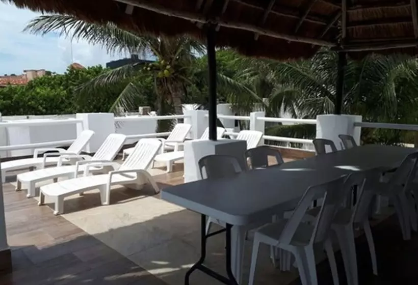 Fotos del hotel Pelicano Inn Playa Del Carmen - Beachfront:  8