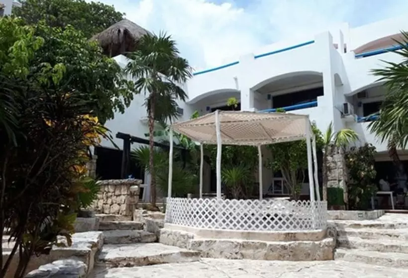 Fotos del hotel Pelicano Inn Playa Del Carmen - Beachfront:  25