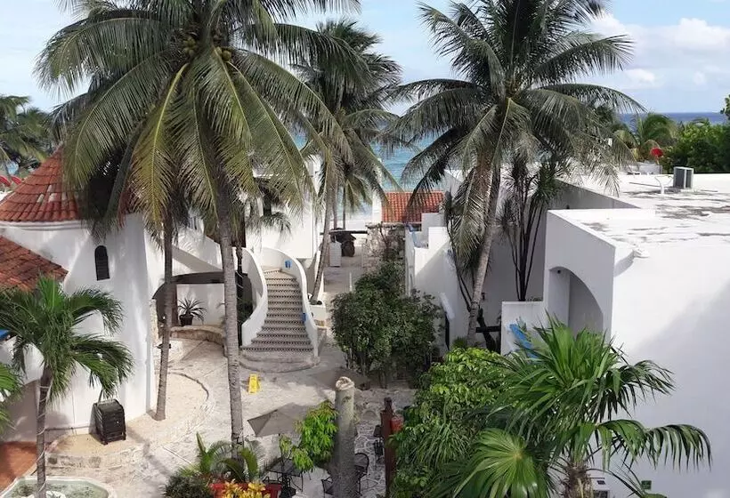 Fotos del hotel Pelicano Inn Playa Del Carmen - Beachfront:  22