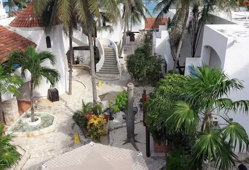 Fotos del hotel Pelicano Inn Playa Del Carmen - Beachfront:  12