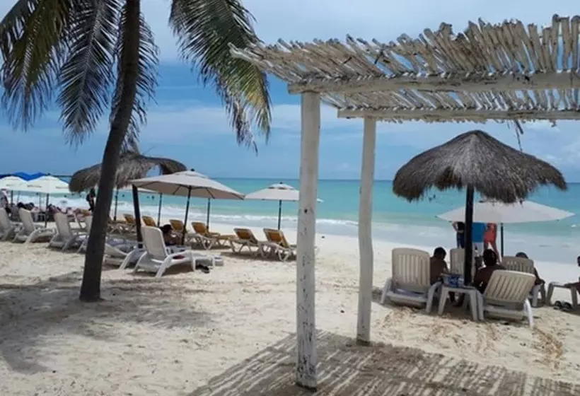 Fotos del hotel Pelicano Inn Playa Del Carmen - Beachfront:  5