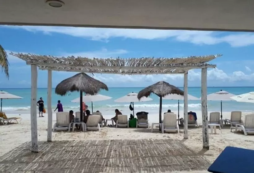 Fotos del hotel Pelicano Inn Playa Del Carmen - Beachfront:  24