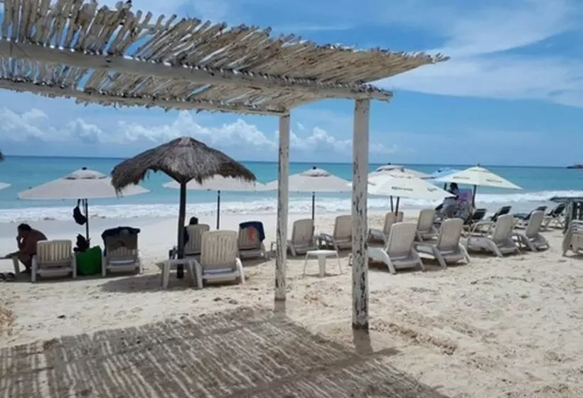 Fotos del hotel Pelicano Inn Playa Del Carmen - Beachfront:  9