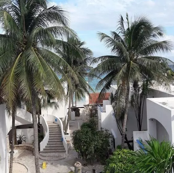 Fotos del hotel Pelicano Inn Playa Del Carmen - Beachfront:  18