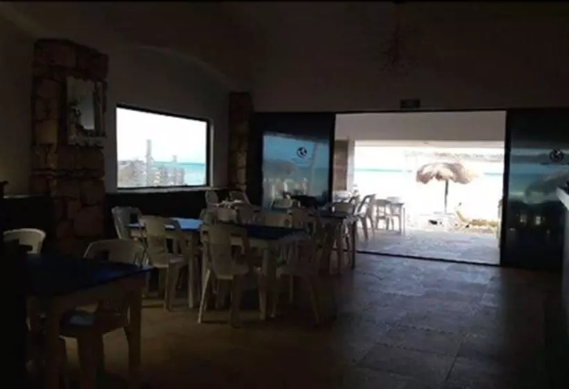 Fotos del hotel Pelicano Inn Playa Del Carmen - Beachfront:  21