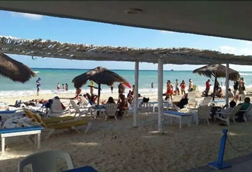 Fotos del hotel Pelicano Inn Playa Del Carmen - Beachfront:  11