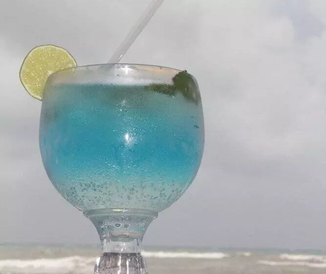 Fotos del hotel Pelicano Inn Playa Del Carmen - Beachfront:  15