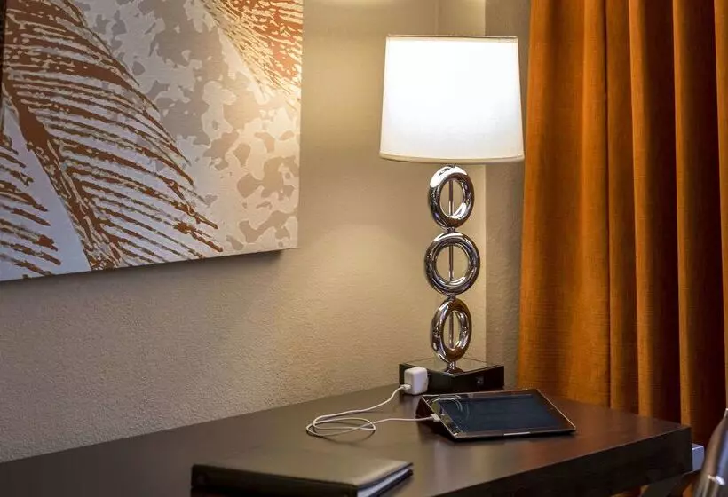 Fotos del hotel Sonesta Miami Airport:  18