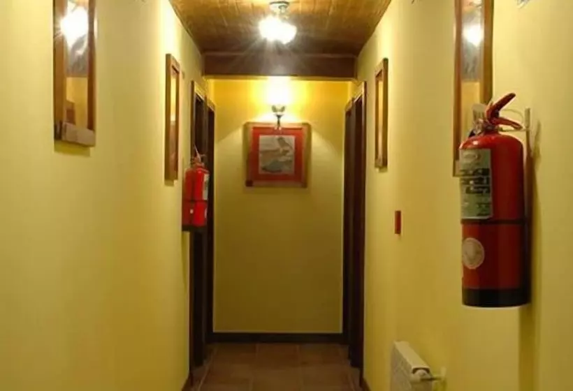 Fotos del hotel Campanilla:  8