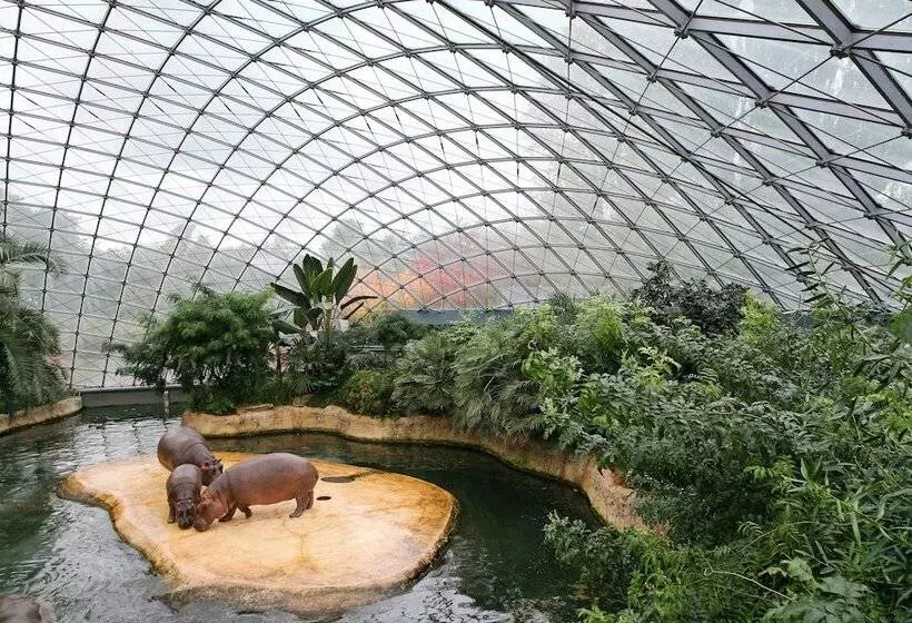 Fotos del hotel Louisa's Place:  11